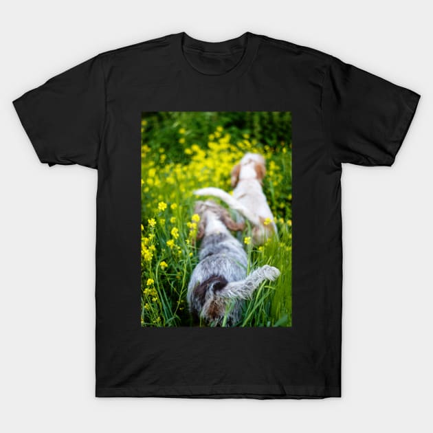 Wildflower adventure Spinoni T-Shirt by heidiannemorris